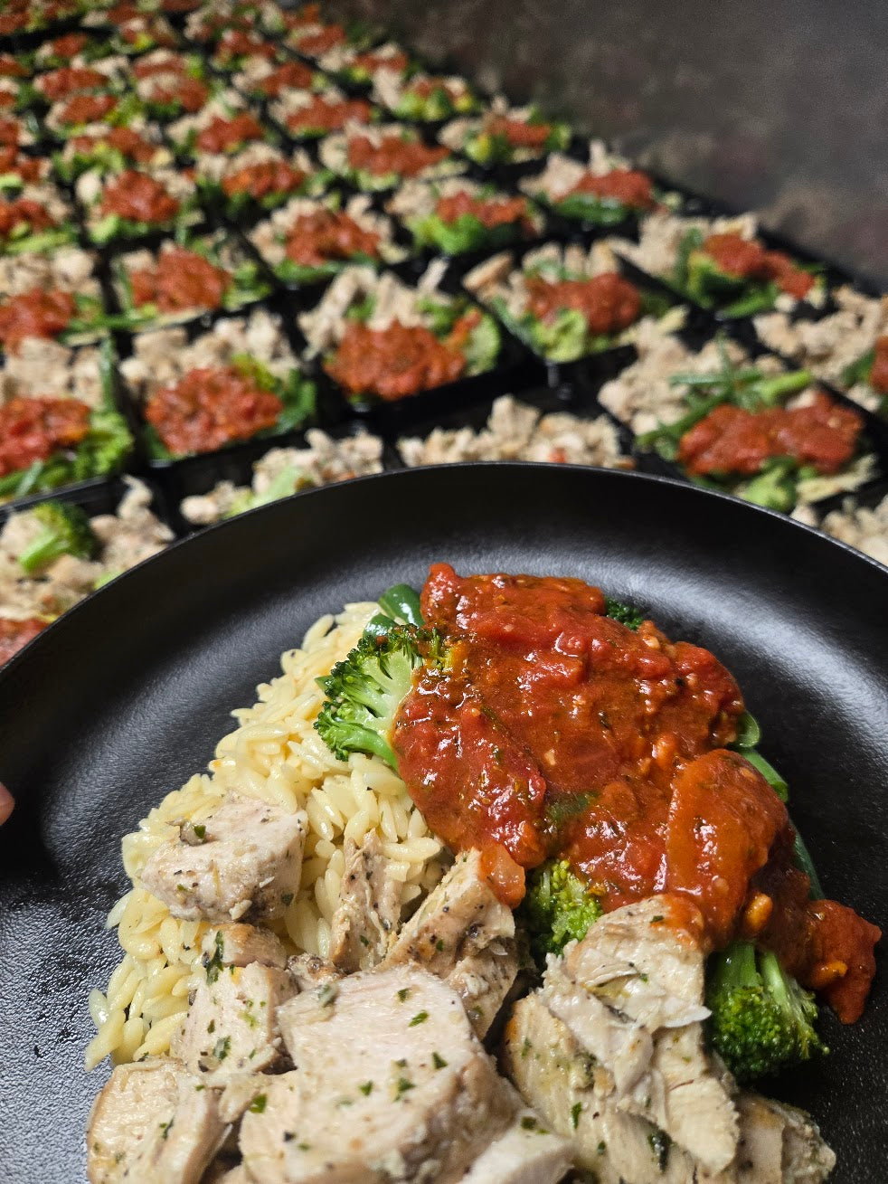 Fit for Purpose Meal Plan Ultra!
